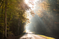 En route vers l'automne